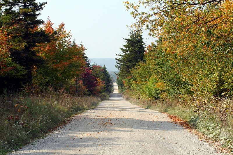 File:Dolly-sods-fall-road - West Virginia - ForestWander.jpg