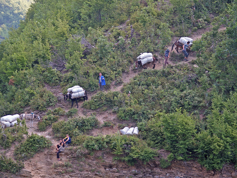 File:Donkey Transport in Northern Albania.jpg