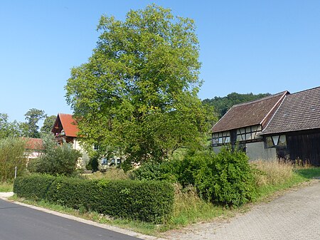 Doschendorf