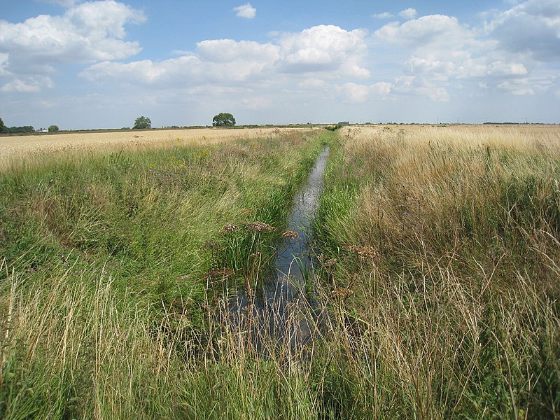 File:Drain in Heckington Fen - geograph.org.uk - 1978216.jpg