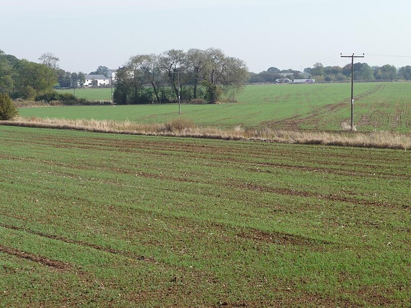 File:Drainage dike running across a greening field - geograph.org.uk - 2626878.jpg