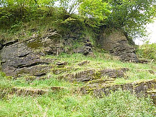 East Kirkton Limestone