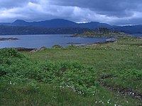 Eilean nan Cabar. Taken from the south-east side of the peninsula. This image shows that Eilean nan Cabar, safe from grazing sheep, has a significant number of trees on it.