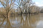 Elbaue Werben und Alte Elbe Kannenberg