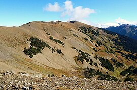 Elk Mountain v olympijském národním parku.jpg