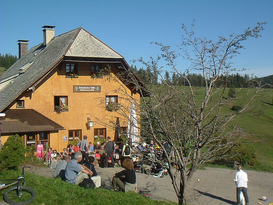 Erlenbacher Hut