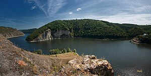 Панорама Врублівецького лісу (вигляд з лівого берега Тернави)