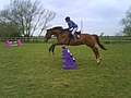 osmwiki:File:Evie Gullis Jumping Her Horse.JPG