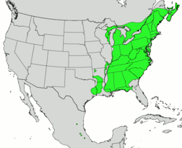 Fagus grandifolia map.png