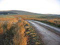 Farm road at Nout Knowe - geograph.org.uk - 297633.jpg