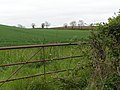 Fields and a gate - geograph.org.uk - 1306928.jpg