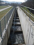 Fischtreppe an der Wiese (1)