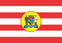 ブルメナウの市旗