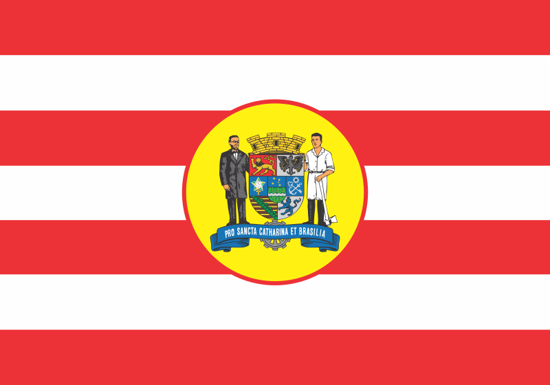 File:Flag of Blumenau.svg