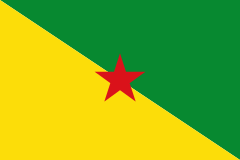 圭亚那旗帜