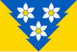 Flag of Khust Raion, Zakarpattia Oblast, Ukraine