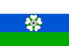 Vlajka obce Slaná