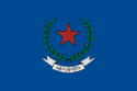 Regione di Yangon – Bandiera