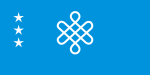 Флаг Казахского ханства. Знамя было нарисовано в 1960 году (по другой версии в 1980 году) и является выдумкой турецкого художника
