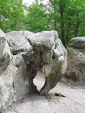 The Elephant Rock, Apremont - Forest of Fontainebleau