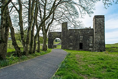 Highly commended: Fore Abbey, County Westmeath