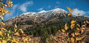 Fresh snow on Elk Mountain Fresh Snow on Elk Mountain.jpg