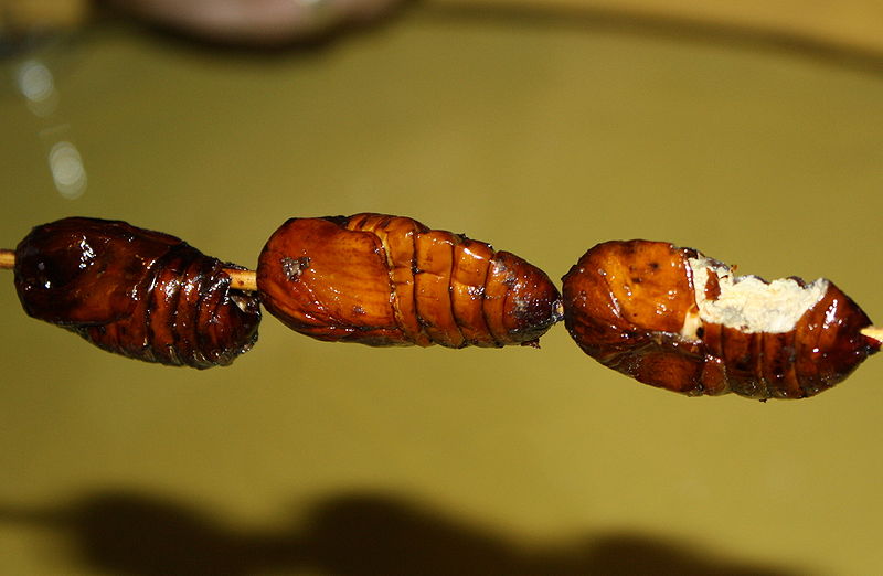 File:Fried-silkworm-china.jpg