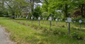 * Nomination The war graves in Hof, Germany. --PantheraLeo1359531 09:44, 31 May 2023 (UTC) * Promotion  Support Good quality. --Vasmar1 13:37, 31 May 2023 (UTC)