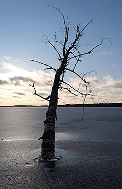 Jäätynyt Salkolanjärvi helmikuussa 2020.