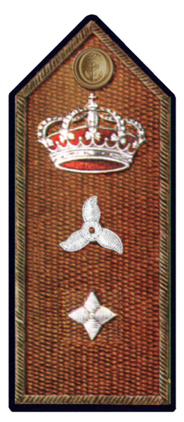 File:General Subinspector del Cuerpo de Máquinas de la Armada.png
