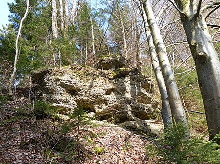 Geotop Nagelfluh Aufschluss W von Bad Grönenbach 16