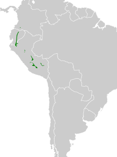 Glaucidium parkeri map.svg