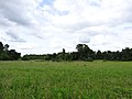 A grass field near 1021 Mount Laurel Road, Clover, Virginia