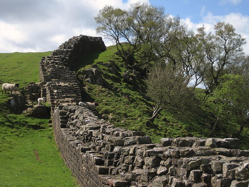 File:Hadrian's Wall with sheep 1.jpg