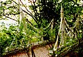 Brücke vom Park zum ehm. Gärtnerhaus, genannt Japanische Brücke, heute verfallen (1992)