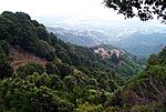 Vignette pour Forêts, terres boisées et broussailles méditerranéennes