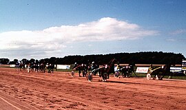 La hipodromo