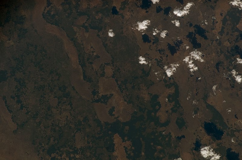 File:ISS017-E-6371 - View of Mozambique.jpg