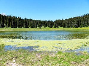 Igelsee 1.jpg