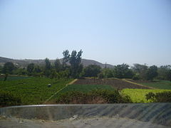 Il verde dell'Etiopia sulla strada vicino la capitale.