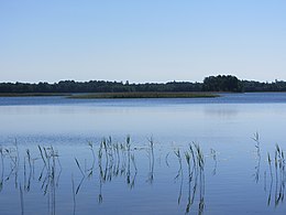 Avilys Avilių kaimo apylinkėse