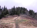 Inadu-knob-gsmnp1.jpg