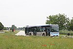 Vignette pour Réseau de bus de Sénart