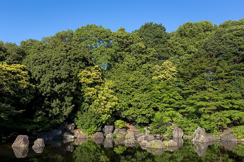 الطبـــيعة 800px-Japanese_garden_scenery_at_Expo_Commemoration_Park_2015-06-04_%282%29