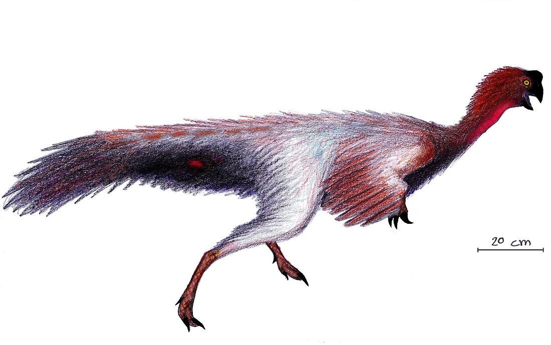 Jiangxisaurus