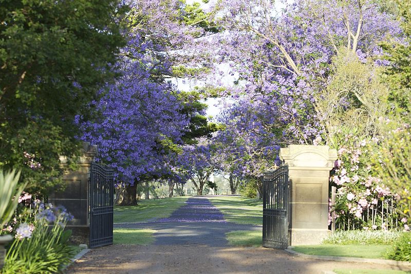 File:Jimbour House - Outside - Garden View 7.jpg