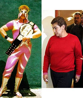 <span class="mw-page-title-main">Juana Barraza</span> Mexican professional wrestler and serial killer