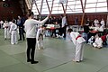 Compétition de judo interclubs jeunes (6-12 ans) du Nord-Finistère à Brest au gymnase de la Cavale Blanche, le samedi 25 janvier 2014.