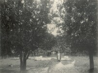 Nazar Garden in 1891, Author: Thomson, J.