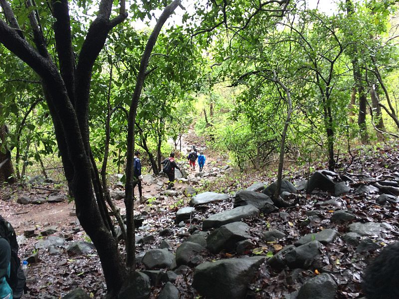 File:Karnala Bird Sanctuary Maharastra.jpg